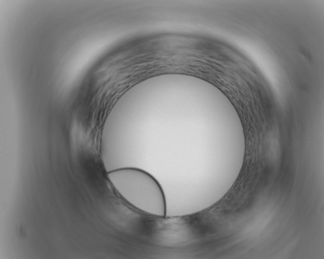 X0000114030431200910091438