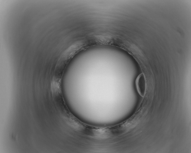 X0000114030432200910091438