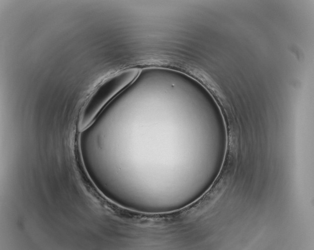 X0000114030434200910091437