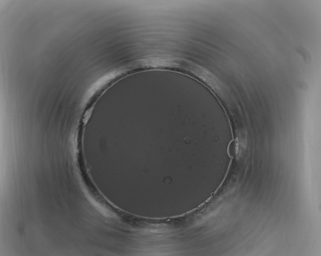 X0000114030438200910091437