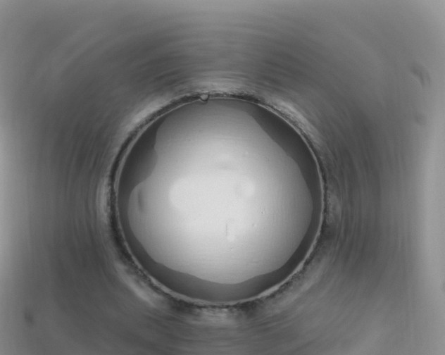 X0000114030439200910091437