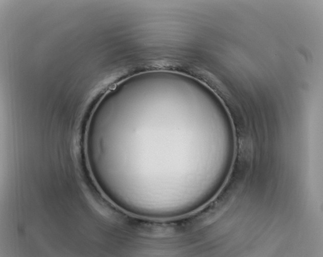 X0000114030443200910091437