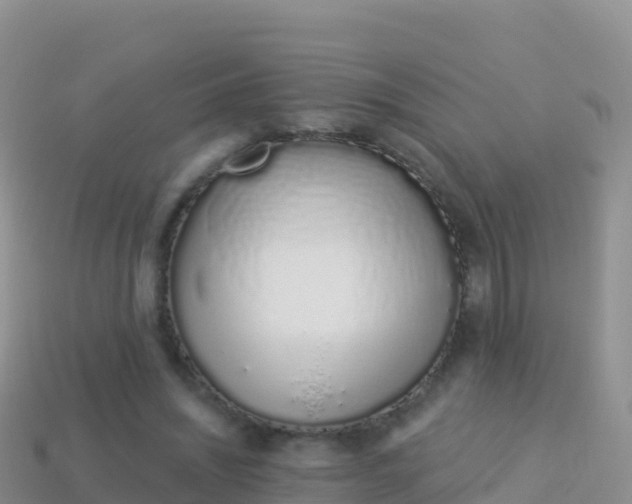 X0000114030444200910091437