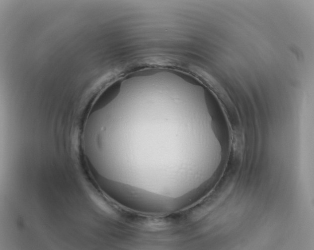 X0000114030445200910091437