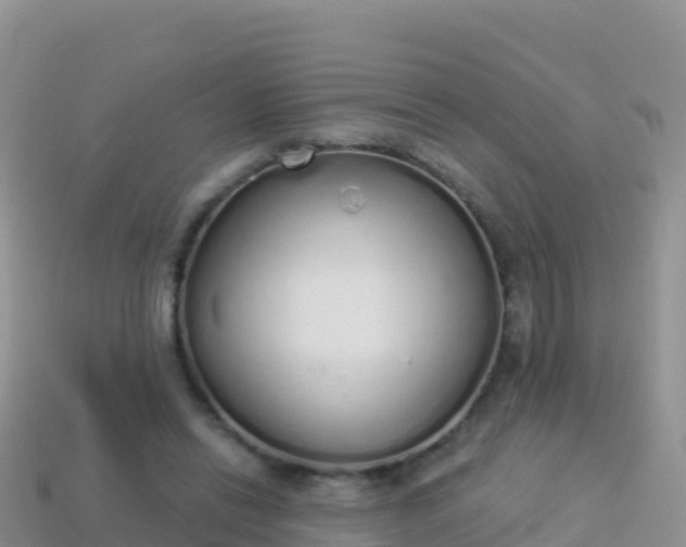 X0000114030446200910091437