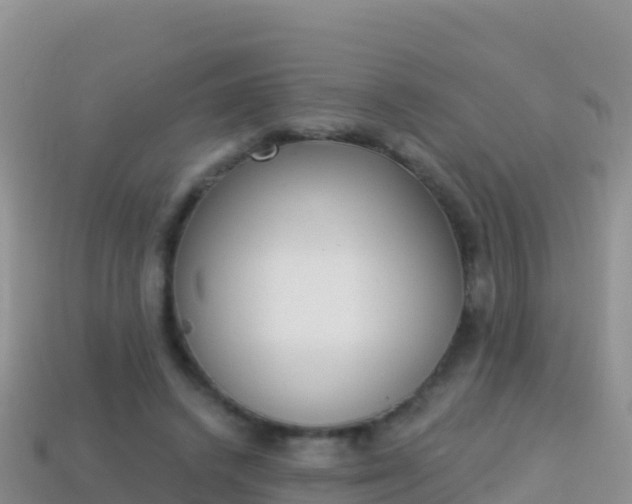 X0000114030448200910091437