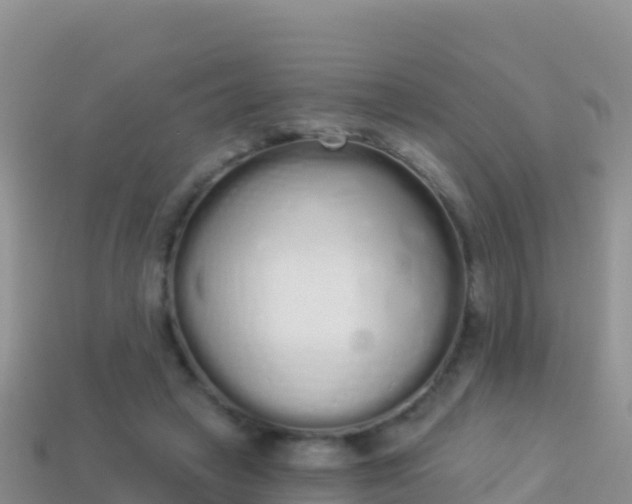 X0000114030449200910091437