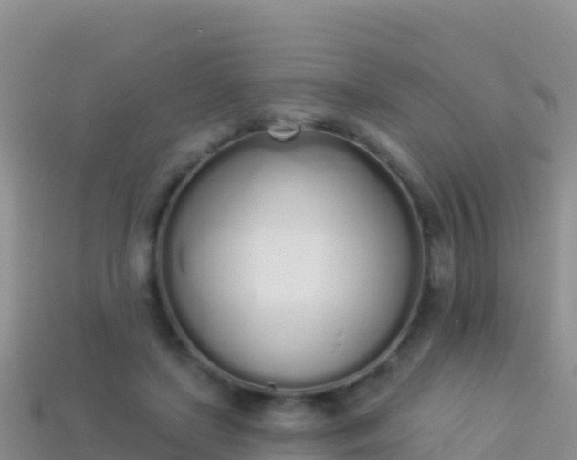 X0000114030451200910091437