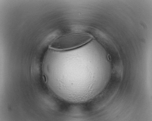 X0000114030452200910091437