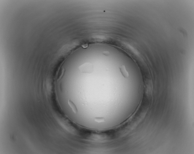 X0000114030455200910091437