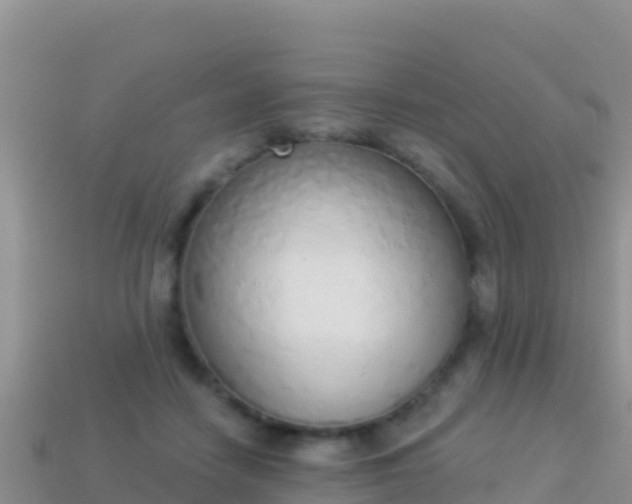 X0000114030458200910091438