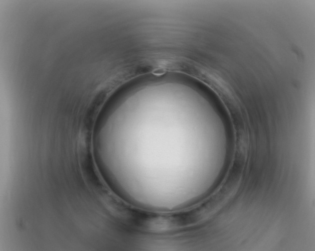 X0000114030461200910091438