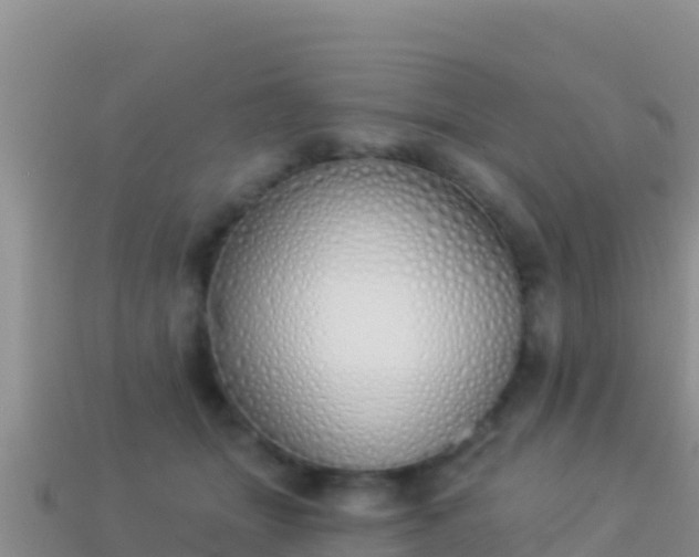 X0000114030463200910091438