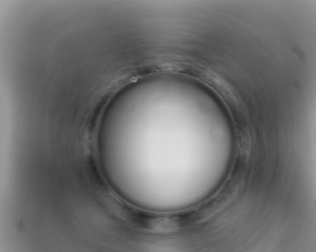 X0000114030465200910091438