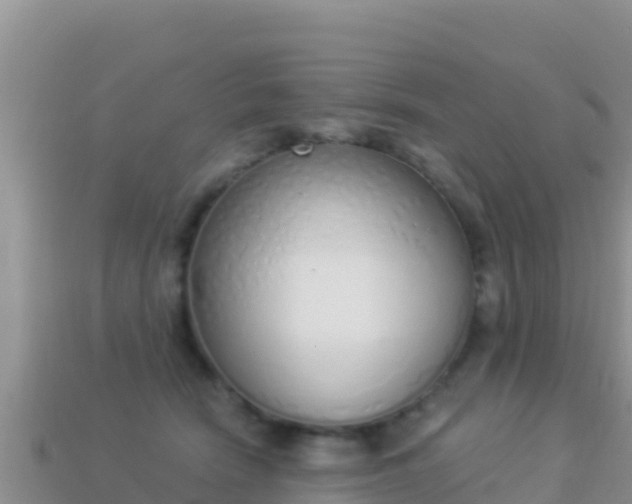 X0000114030466200910091438