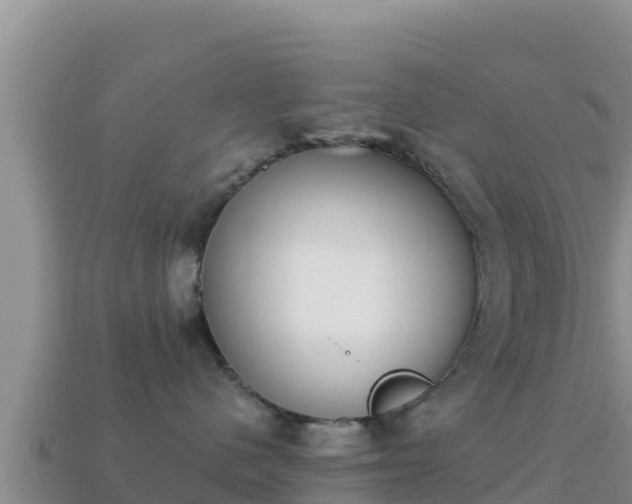 X0000114030480200910091438