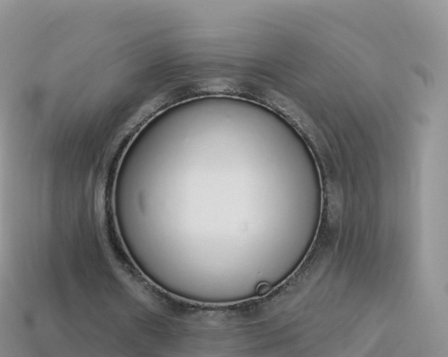 X0000114030482200910091437