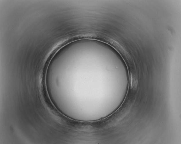 X0000114030483200910091437