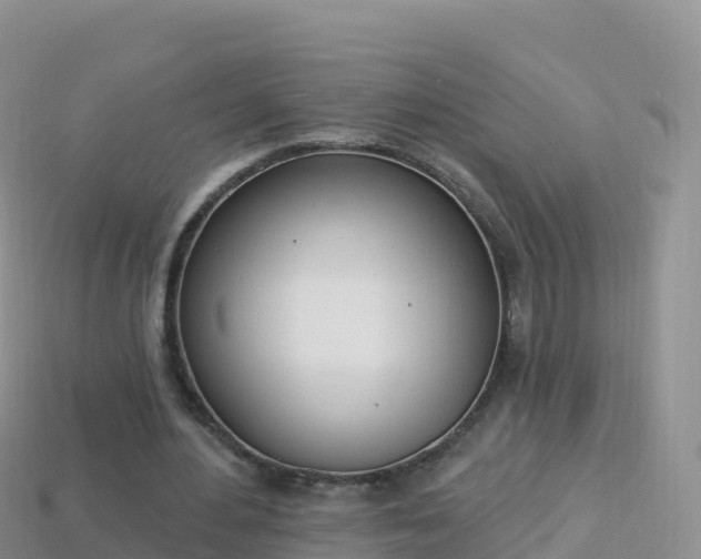 X0000114030484200910091437