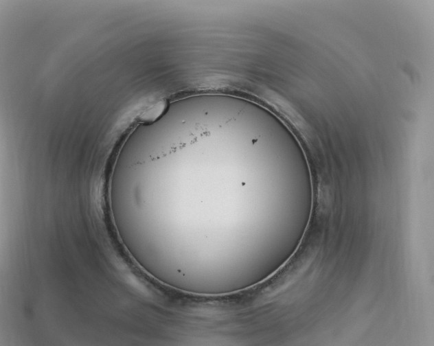 X0000114030485200910091437