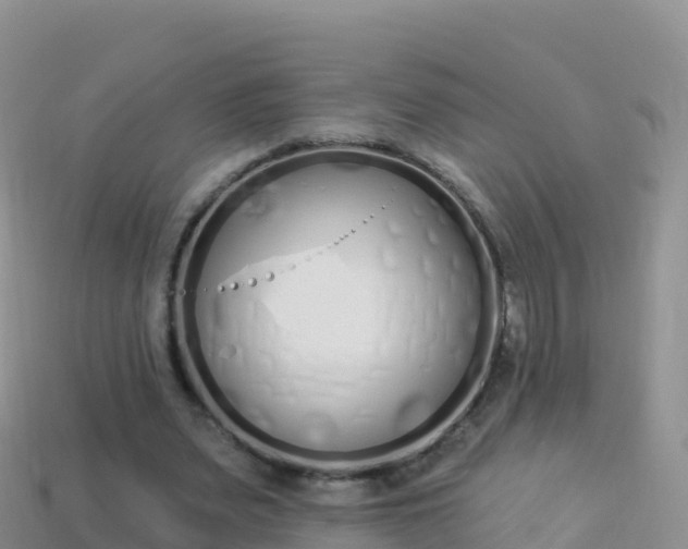 X0000114030487200910091437