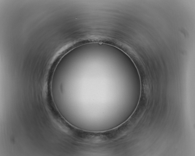 X0000114030488200910091437