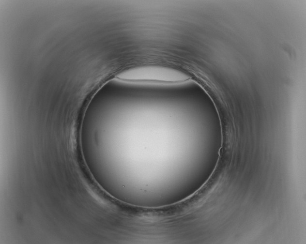 X0000114030489200910091437