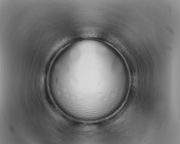 X0000114030491200910091437