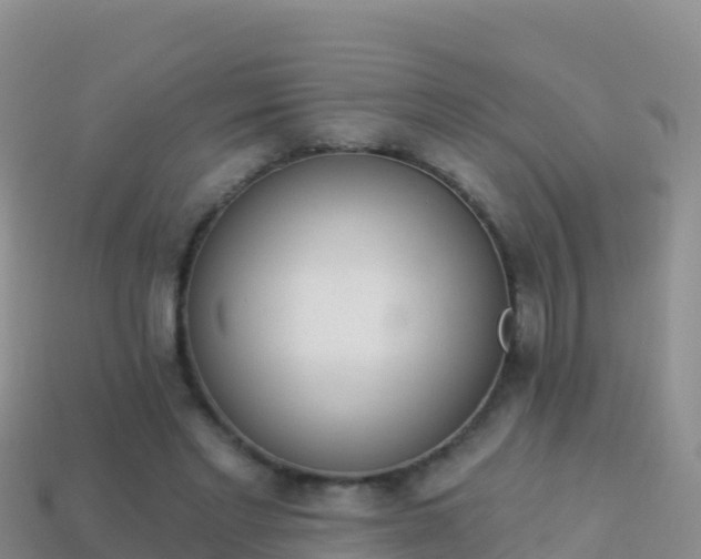 X0000114030493200910091437