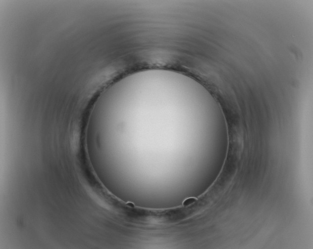 X0000114030496200910091437