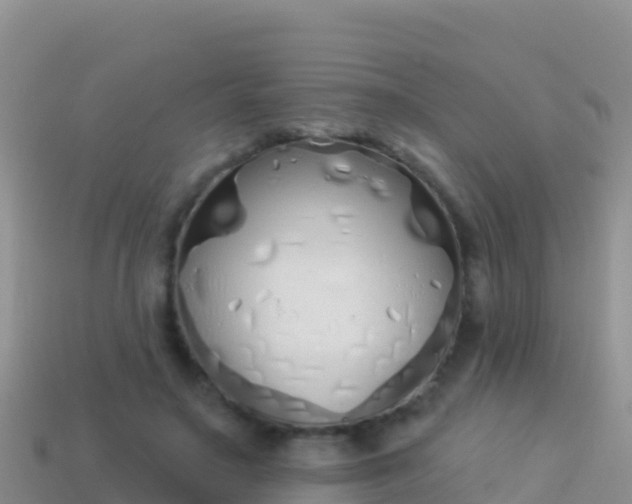 X0000114030499200910091437