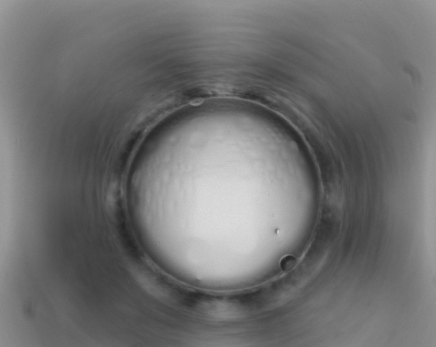 X0000114030503200910091437