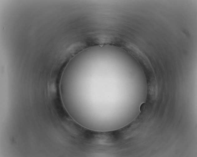 X0000114030516200910091437