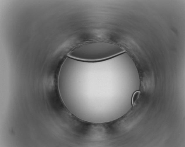 X0000114030520200910091437