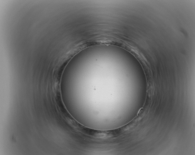 X0000114030521200910091437