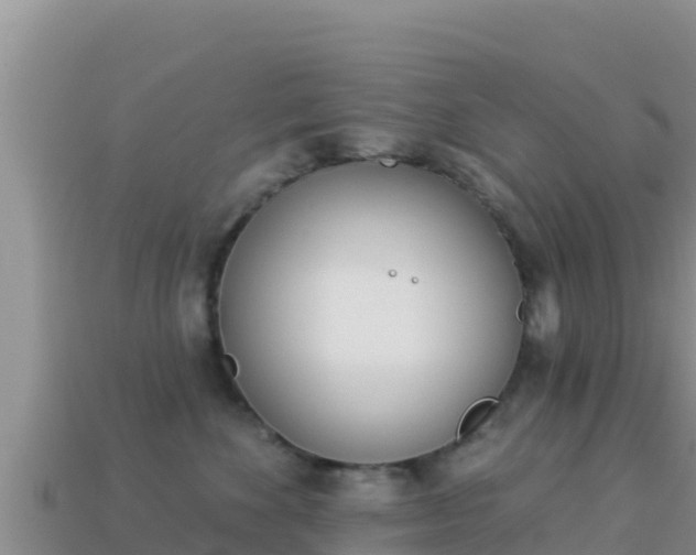 X0000114030524200910091437