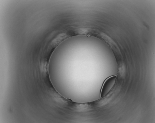 X0000114030525200910091437