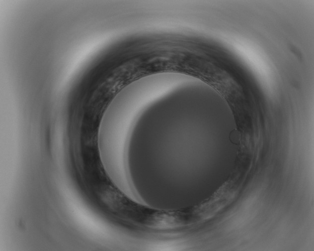 X0000114030526200910091437