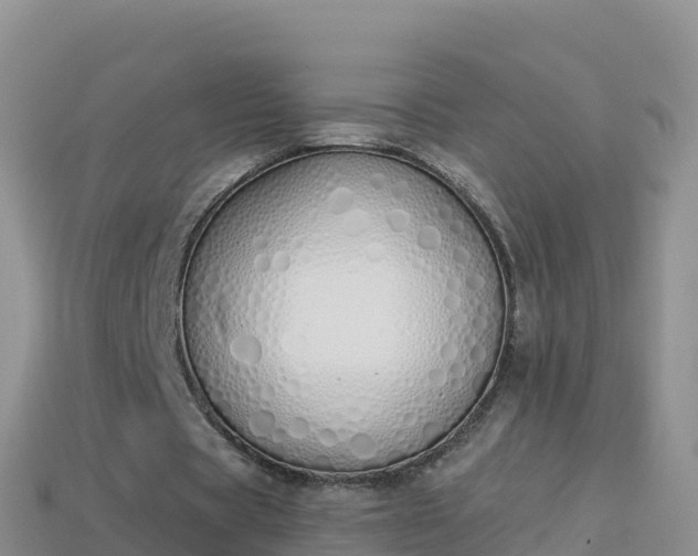 X0000114030529200910091436