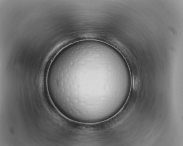 X0000114030531200910091436