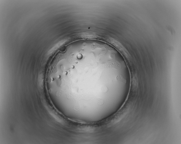 X0000114030533200910091436