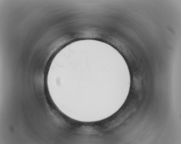 X0000114030534200910091436