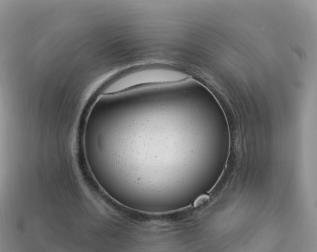 X0000114030536200910091436