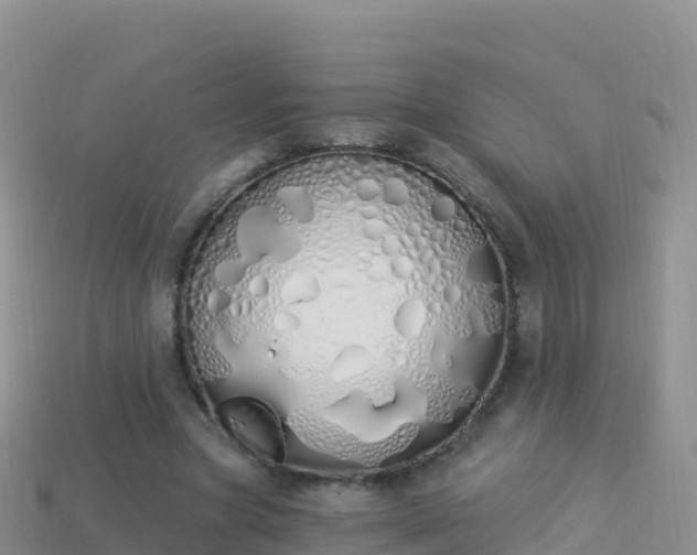 X0000114030537200910091436