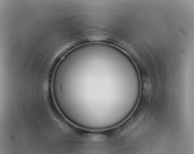 X0000114030539200910091436