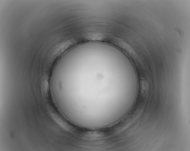 X0000114030541200910091436