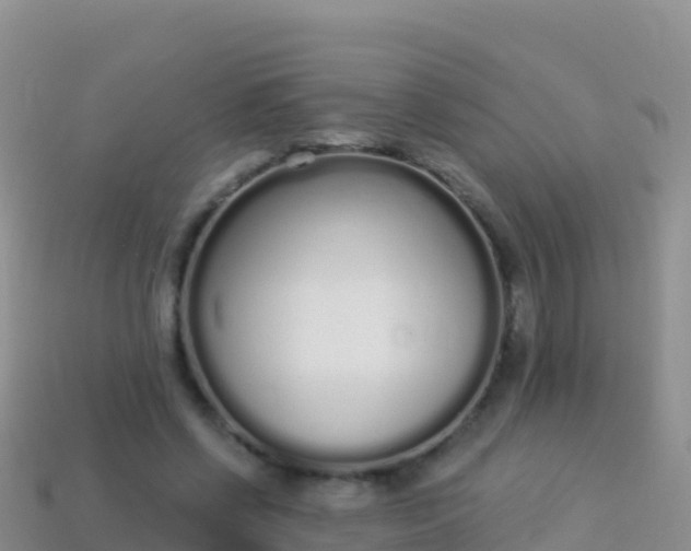 X0000114030542200910091436