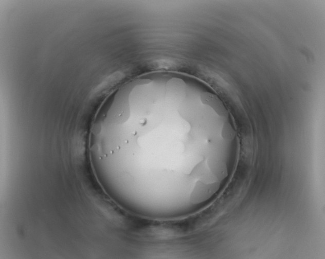 X0000114030545200910091436