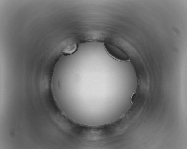 X0000114030546200910091436