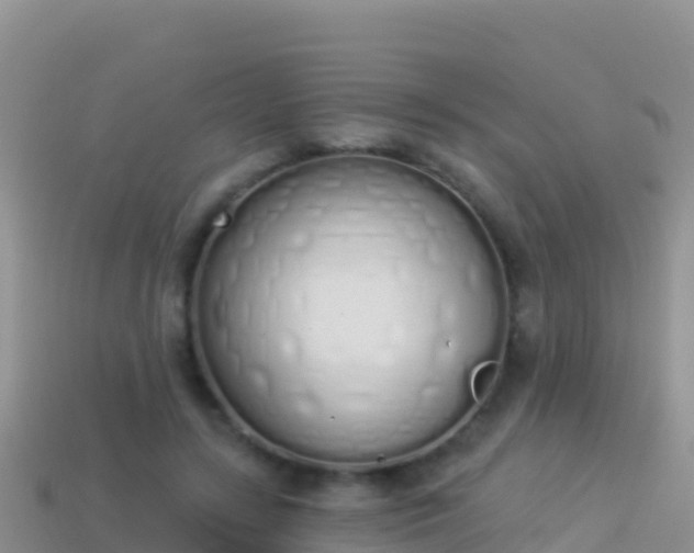 X0000114030547200910091436